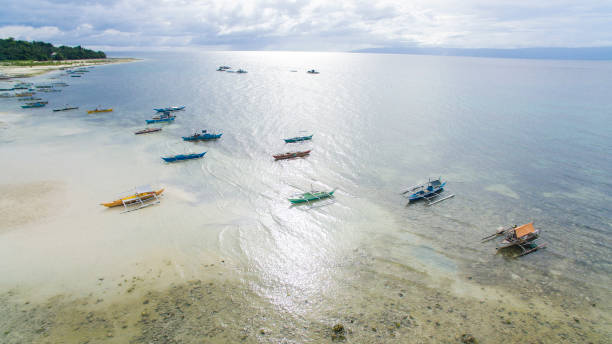 Image, Spiral Vortex Fractal